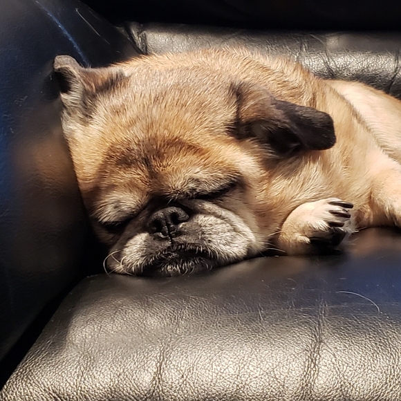 Meet your Posher, Lori - Picture 1 of 3